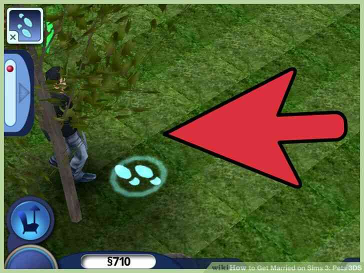 Image intitulée mariez-vous sur Sims 3_ Animaux de compagnie 3DS Étape 25